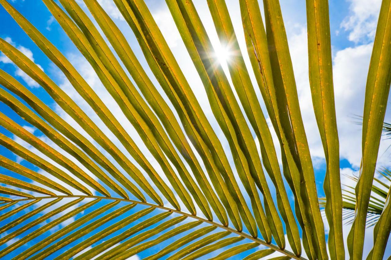 Beaches Bonaire Kralendijk  Ngoại thất bức ảnh