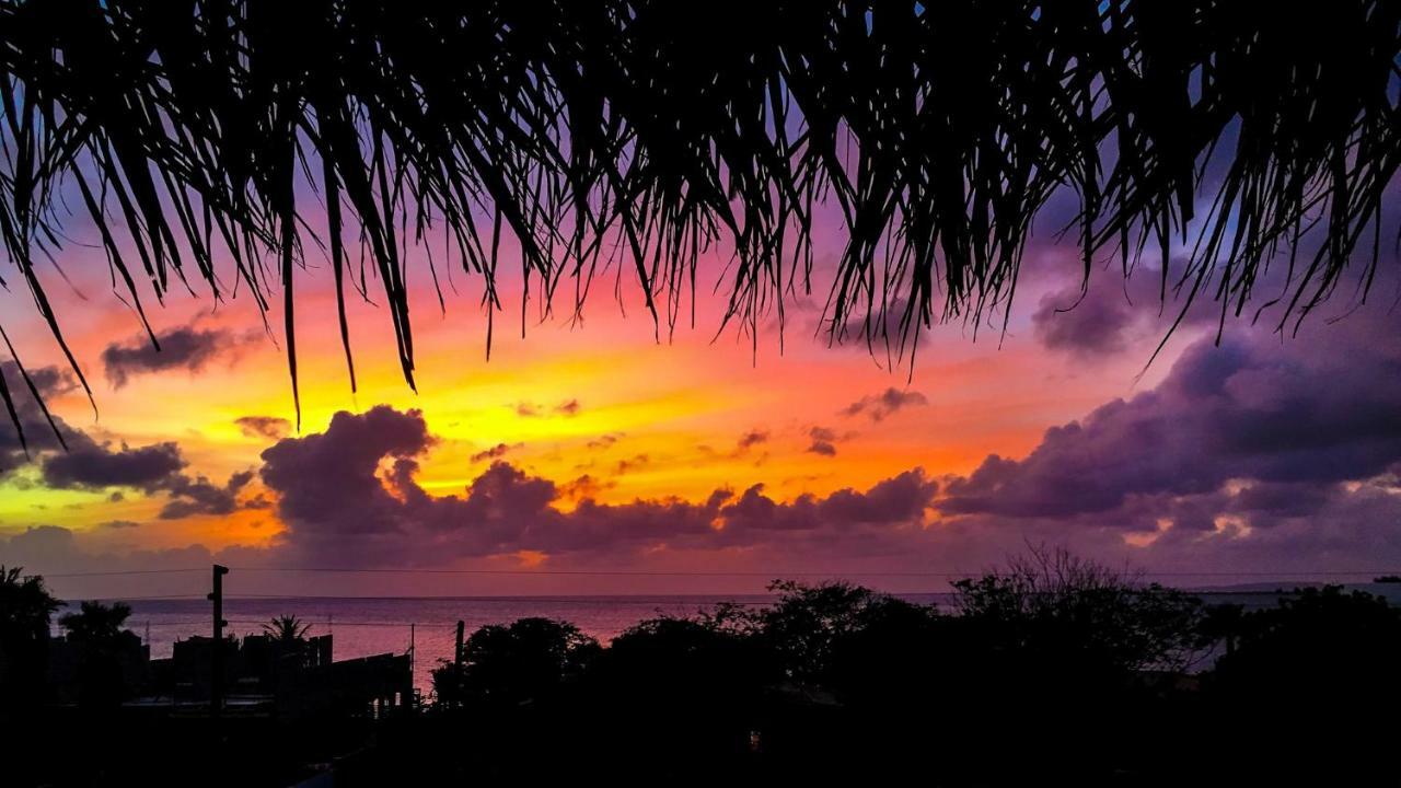 Beaches Bonaire Kralendijk  Ngoại thất bức ảnh